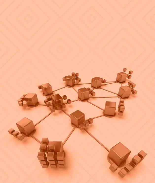 RagnoNetwork